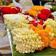 images_original_copy_2_copy_1_copy_1